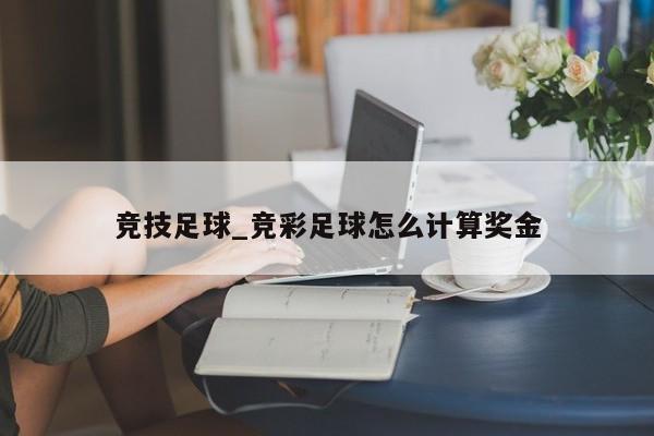 竞技足球_竞彩足球怎么计算奖金