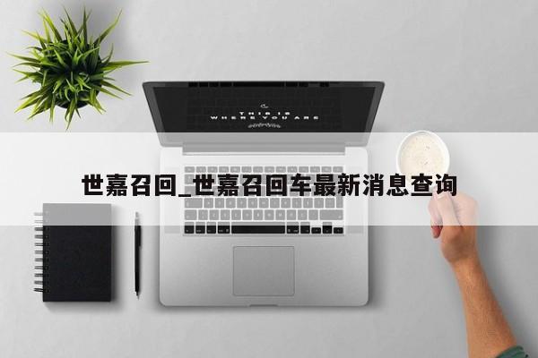 世嘉召回_世嘉召回车最新消息查询