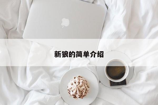 新狼的简单介绍