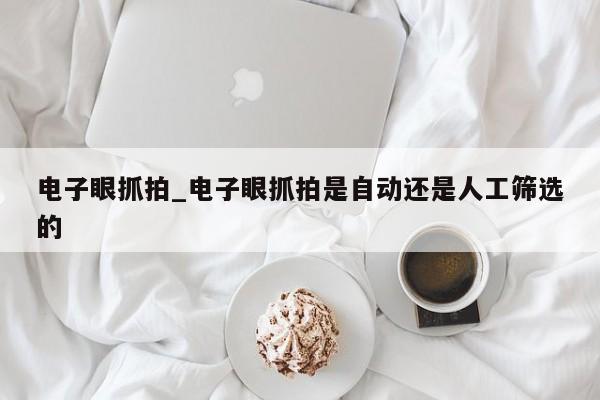 电子眼抓拍_电子眼抓拍是自动还是人工筛选的