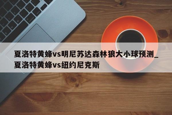 夏洛特黄蜂vs明尼苏达森林狼大小球预测_夏洛特黄蜂vs纽约尼克斯