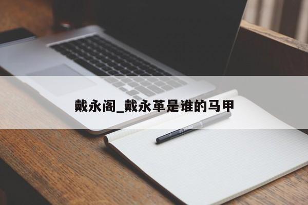 戴永阁_戴永革是谁的马甲