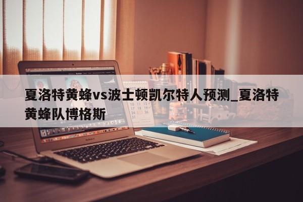 夏洛特黄蜂vs波士顿凯尔特人预测_夏洛特黄蜂队博格斯