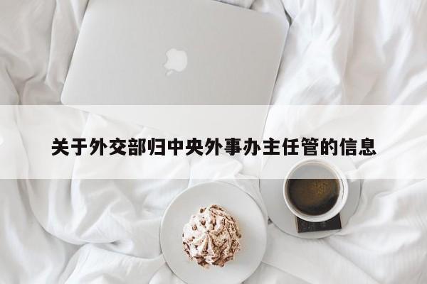 关于外交部归中央外事办主任管的信息