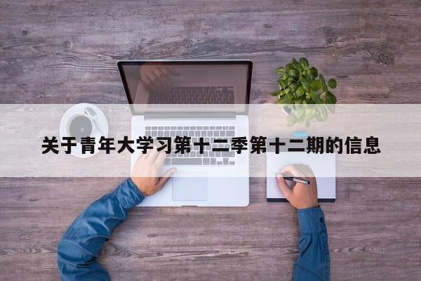 关于青年大学习第十二季第十二期的信息